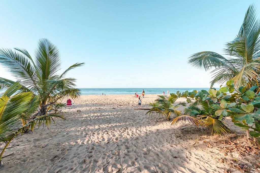 Coastal Express Inn & Suites #1 At 681 Ocean Drive Islote